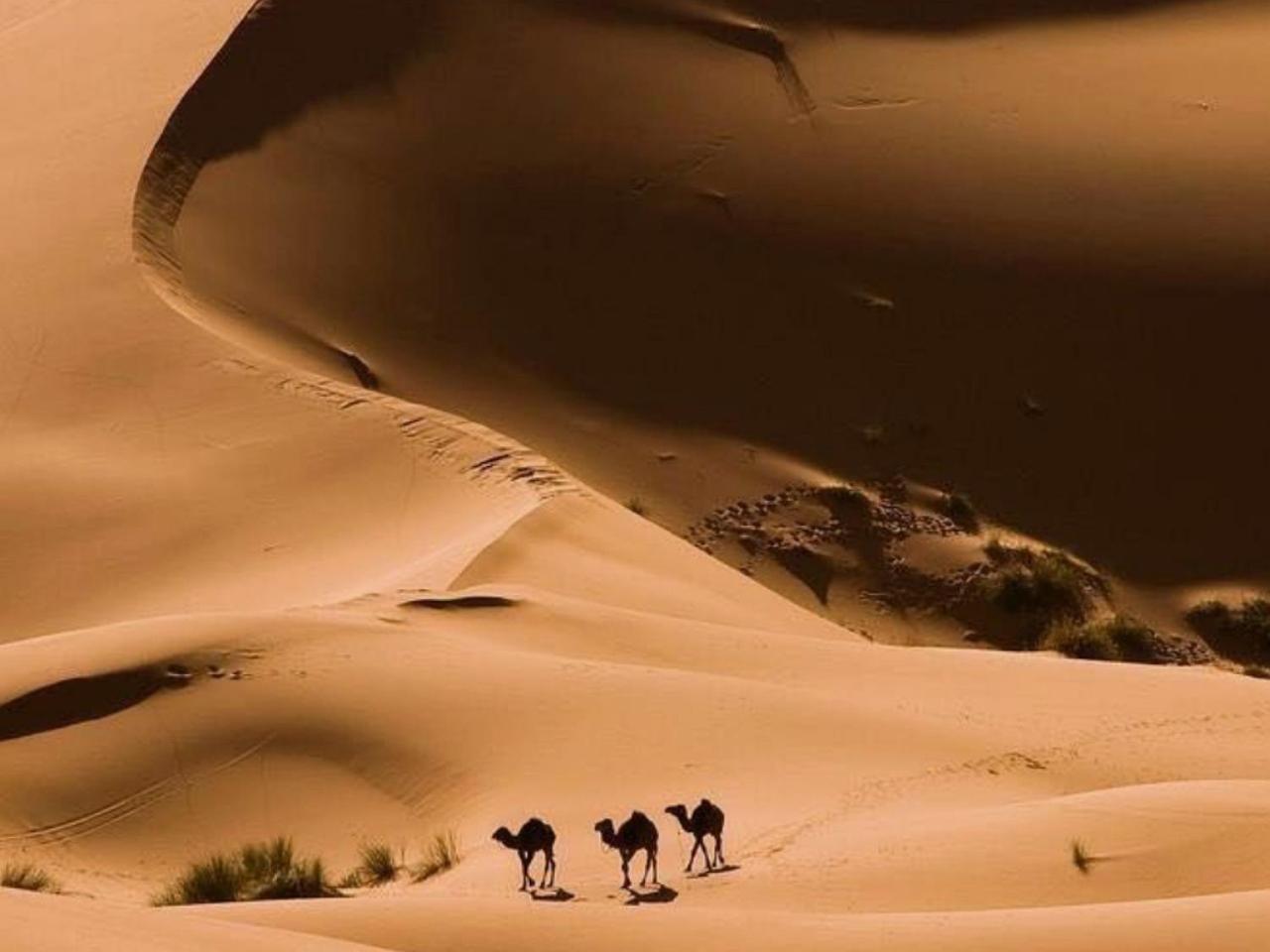 Amazing Luxury Camp Hotel Merzouga Exterior foto